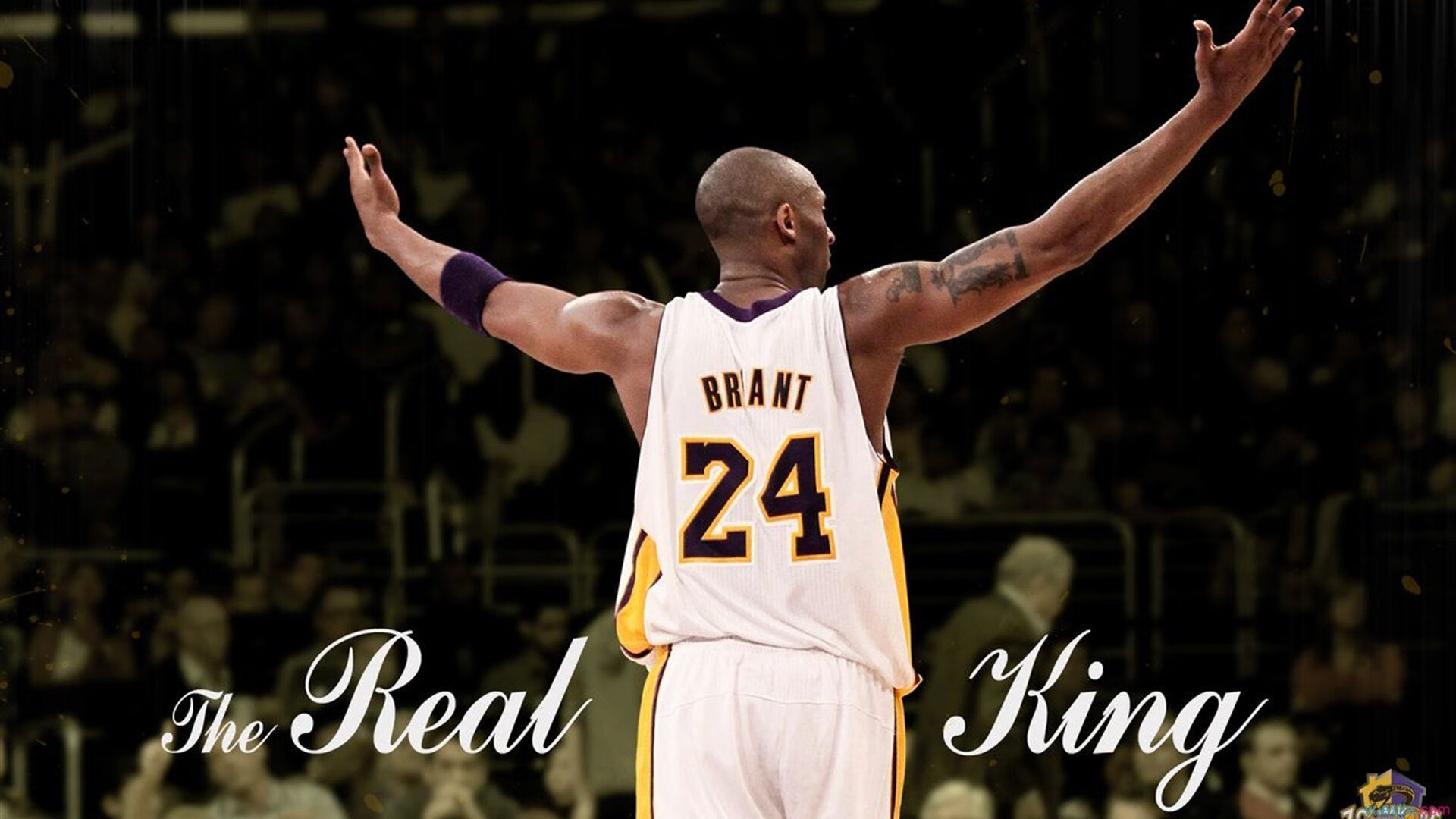 “东部新区赛场:六人制袋棍球带来创新竞技模式”